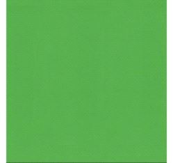 Dansematte Vario UNI, B200cm 1300g/m² PVC green 25m